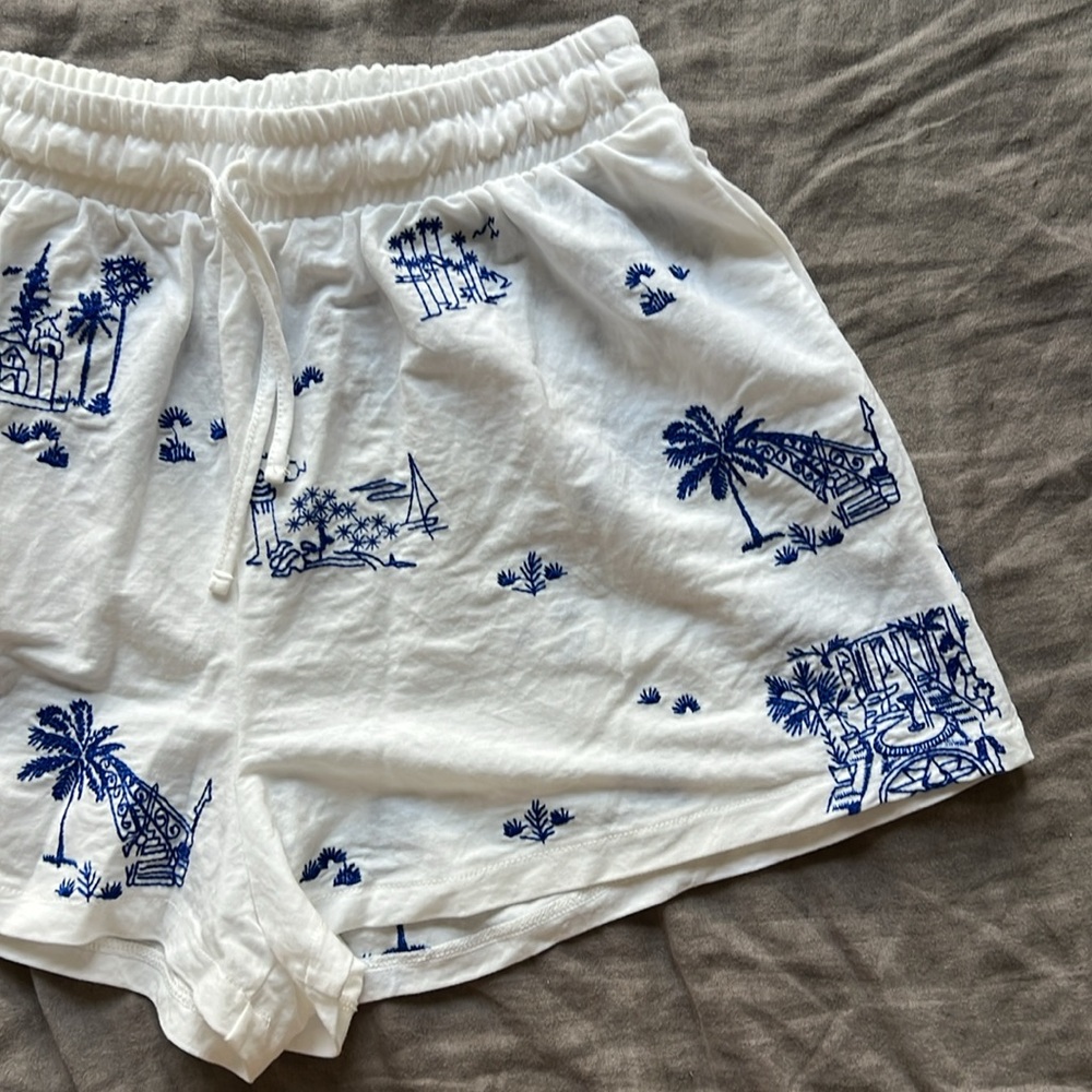 Zara Embroidered Shorts